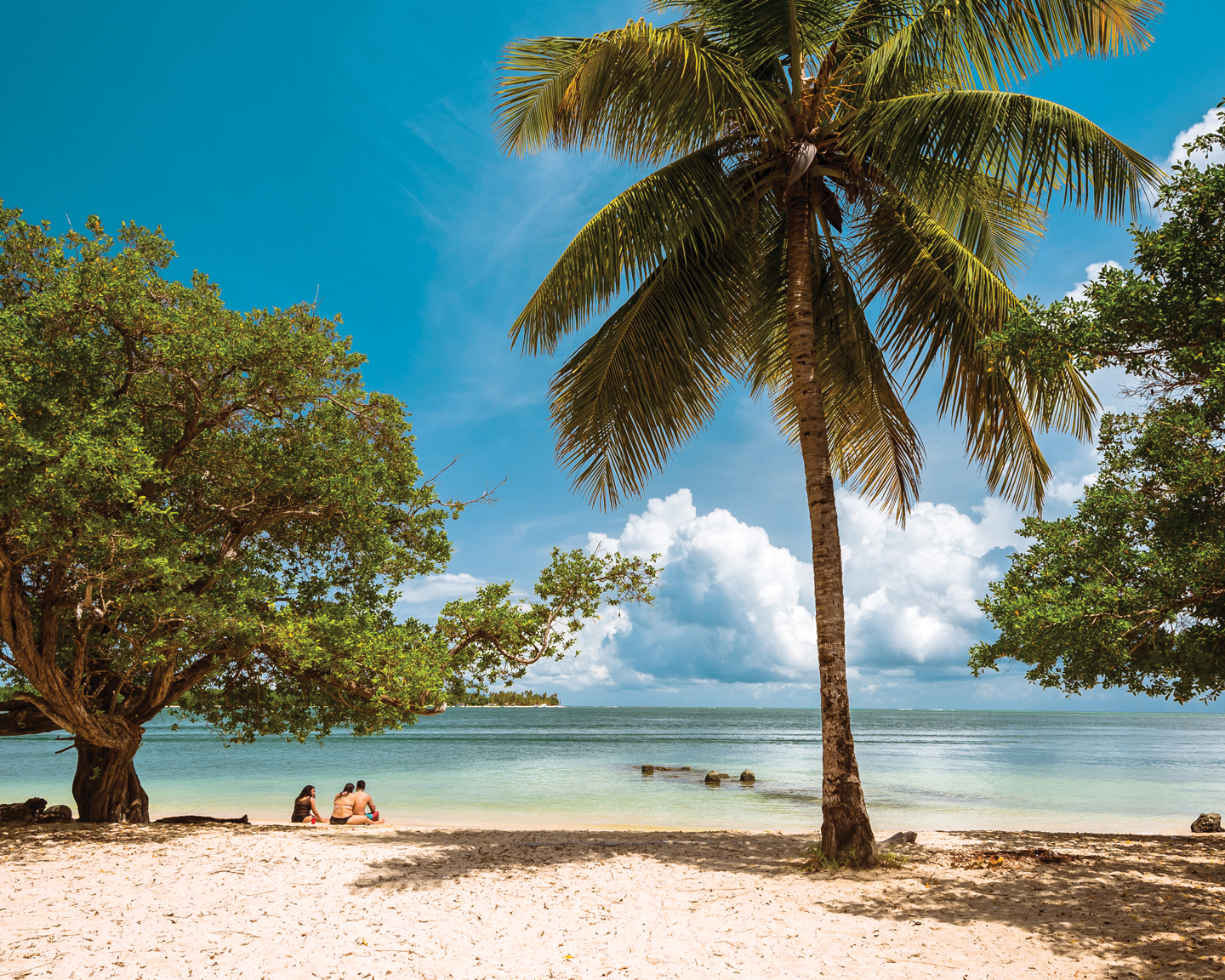 Tobago Beaches